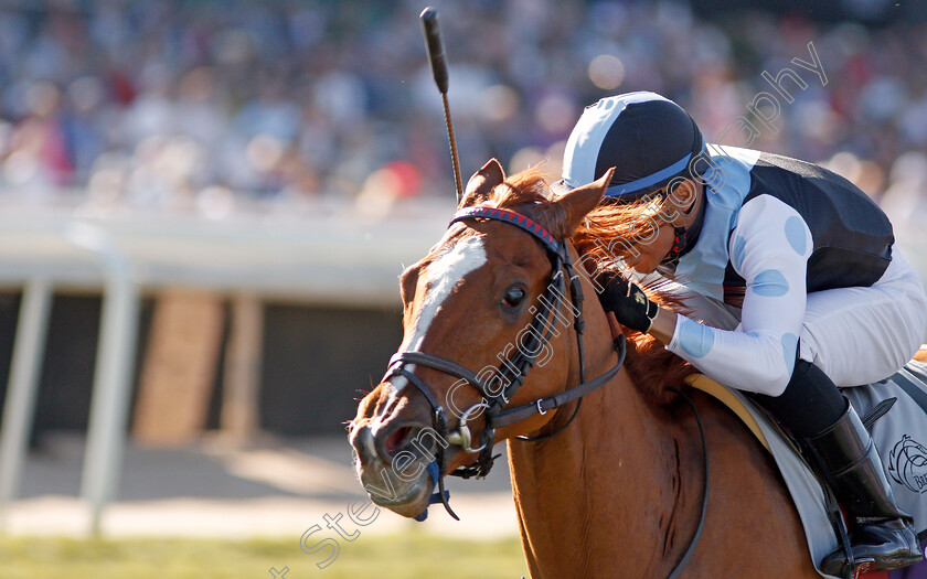 Sharing-0006 
 SHARING (Manuel Franco) wins The Breeders' Cup Juvenile Fillies Turf
Santa Anita USA 1 Nov 2019 - Pic Steven Cargill / Racingfotos.com