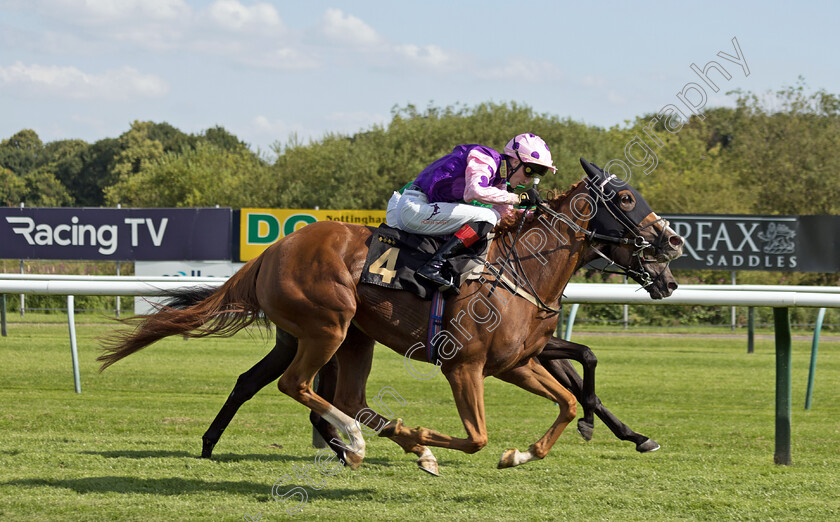 Fougere-0005 
 FOUGERE (David Egan) wins The Discover Whats Trending At Rhino.bet Casino Handicap
Nottingham 19 Jul 2024 - Pic Steven Cargill / Megan Dent / Racingfotos.com