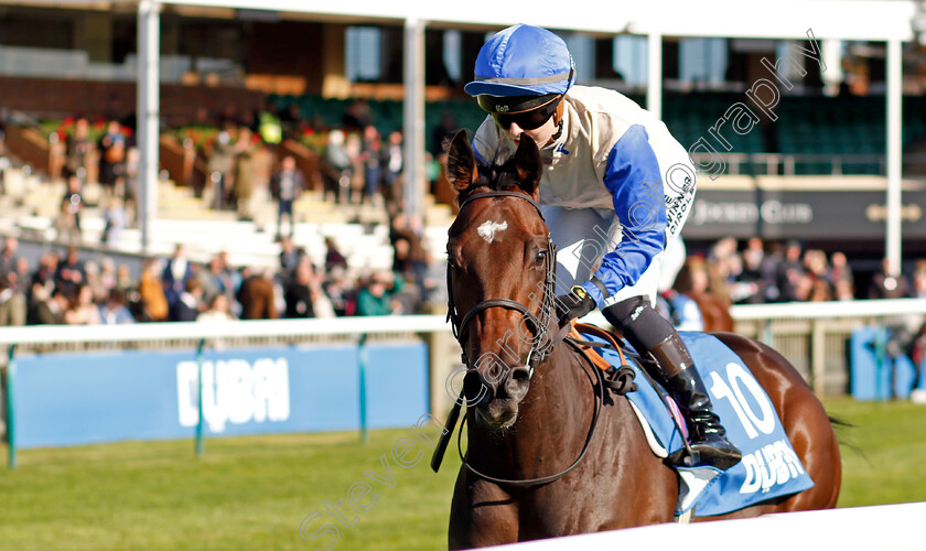 Troia-0001 
 TROIA (Saffie Osborne)
Newmarket 11 Oct 2024 - Pic Steven Cargill / Racingfotos.com