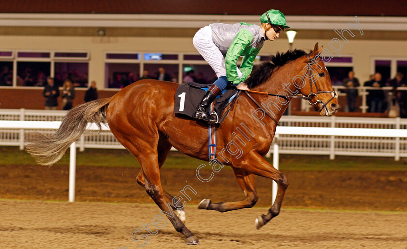 Artieshow-0001 
 ARTIESHOW (Daniel Muscutt) Chelmsford 21 Dec 2017 - Pic Steven Cargill / Racingfotos.com