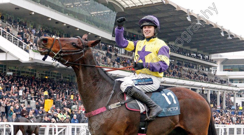 Happy-Diva-0016 
 HAPPY DIVA (Richard Patrick) after The BetVictor Gold Cup
Cheltenham 16 Nov 2019 - Pic Steven Cargill / Racingfotos.com