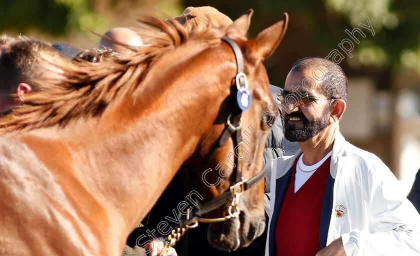 Sheikh-Mohammed-0004 
 Sheikh Mohammed at Tattersalls Yearling Sale Book1
Newmarket 9 Oct 2018 - Pic Steven Cargill / Racingfotos.com