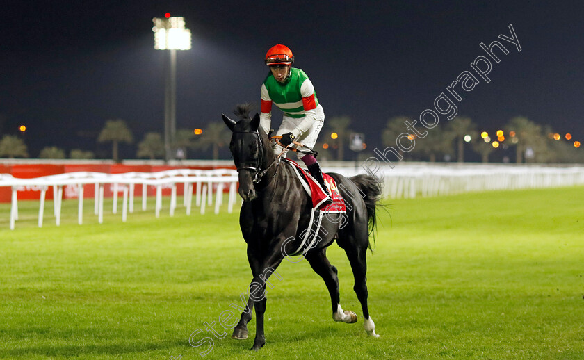 Killer-Ability-0002 
 KILLER ABILITY (Oisin Murphy)
Kingdom of Bahrain 15 Nov 2024 - Pic Steven Cargill / Racingfotos.com