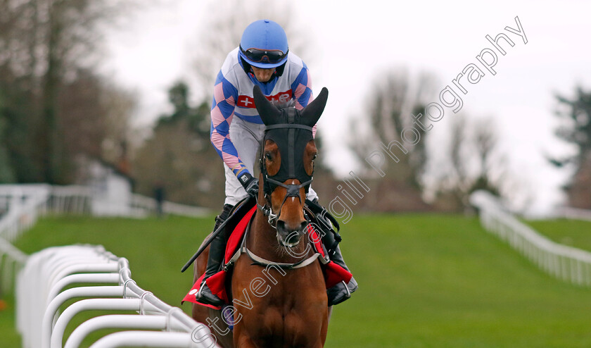 Nickle-Back-0008 
 NICKLE BACK (James Best) winner of The Virgin Bet Scilly Isles Novices Chase
Sandown 3 Feb 2024 - Pic Steven Cargill / Racingfotos.com