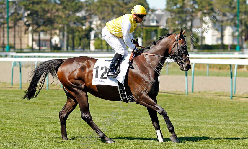 Kingentleman-0002 
 KINGENTLEMAN (G Benoist)
Deauville 7 Aug 2022 - Pic Steven Cargill / Racingfotos.com