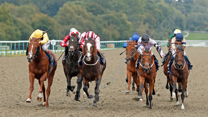 Qaaddim-0004 
 QAADDIM (left, Andrea Atzeni) beats PITCHCOMBE (2nd left) HEXAGON (2nd right) and DRAMATIC SANDS (right) in The Shard Solutions And Origin Nursery
Lingfield 3 Oct 2019 - Pic Steven Cargill / Racingfotos.com