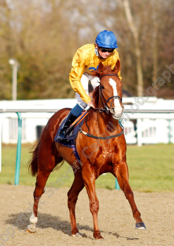 Ever-Amber-0001 
 EVER AMBER (Rob Hornby)
Lingfield 18 Dec 2019 - Pic Steven Cargill / Racingfotos.com