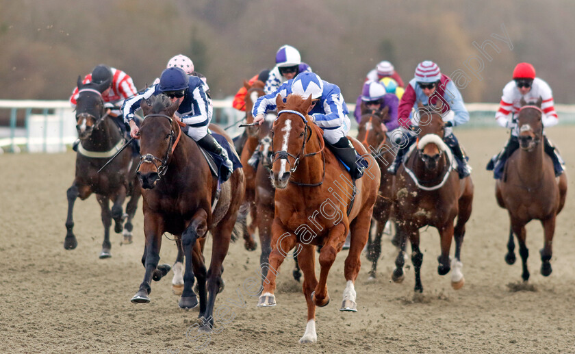 Fantastic-Fox-0004 
 FANTASTIC FOX (Aidan Keeley) beats TALIS EVOLVERE (left) in The Bet £10 Get £40 At Betmgm Handicap
Lingfield 20 Jan 2024 - Pic Steven Cargill / Racingfotos.com