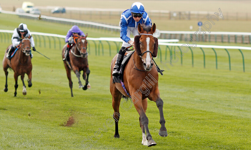 Withhold-0002 
 WITHHOLD (Jason Watson) wins The Jockey Club Rose Bowl Stakes
Newmarket 26 Sep 2019 - Pic Steven Cargill / Racingfotos.com