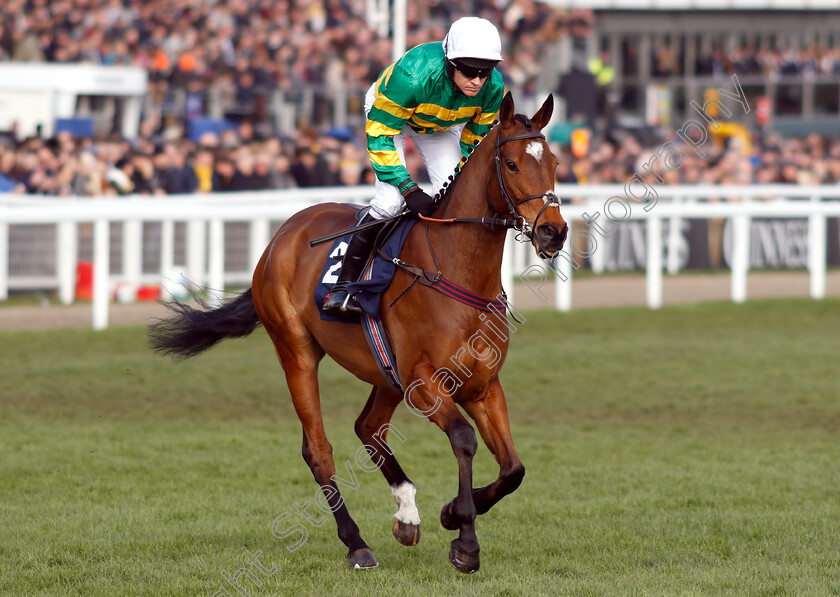 Defi-Du-Seuil-0006 
 DEFI DU SEUIL (Barry Geraghty) winner of The JLT Novices Chase
Cheltenham 14 Mar 2019 - Pic Steven Cargill / Racingfotos.com