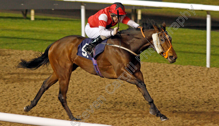 Necoleta-0002 
 NECOLETA (Liam Keniry) wins The Betway Live Casino Handicap
Wolverhampton 19 Dec 2019 - Pic Steven Cargill / Racingfotos.com