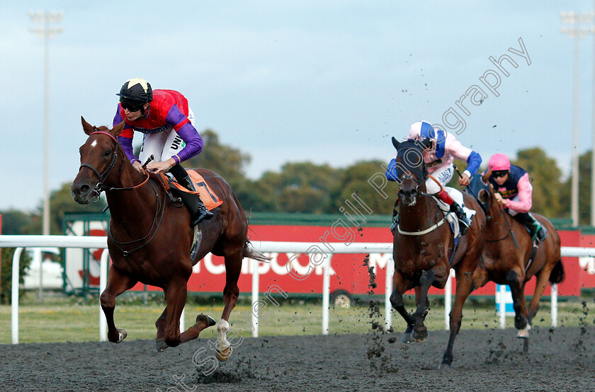 Land-Of-Oz-0001 
 LAND OF OZ (Luke Morris) wins The Matchbook Casino Handicap
Kempton 7 Aug 2019 - Pic Steven Cargill / Racingfotos.com