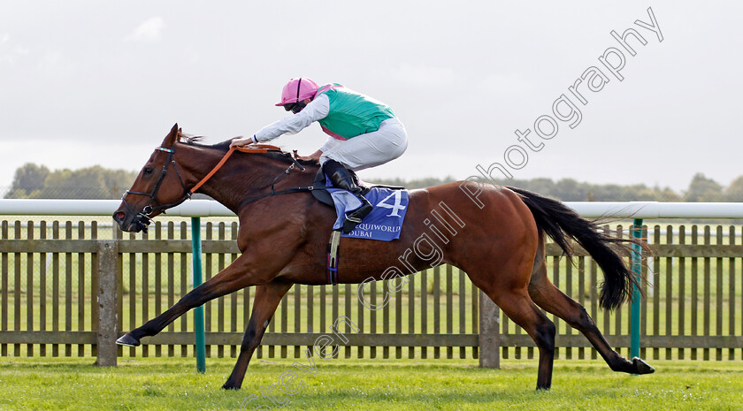 Time-Lock-0001 
 TIME LOCK (Ryan Moore) wins The Princess Royal Al Basti Equiworld Dubai Stakes
Newmarket 27 Sep 2024 - Pic Steven Cargill / Racingfotos.com