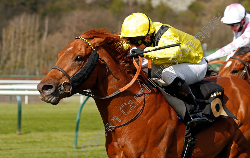 Batraan-0005 
 BATRAAN (Gavin Ashton) wins The Mansionbet Watch And Bet Handicap
Nottingham 7 Apr 2021 - Pic Steven Cargill / Racingfotos.com