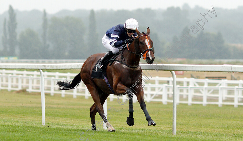 Misu-Pete-0003 
 MISU PETE (Isobel Francis) wins The Oakley Coachbuilders Apprentice Handicap
Newbury 19 Jul 2019 - Pic Steven Cargill / Racingfotos.com