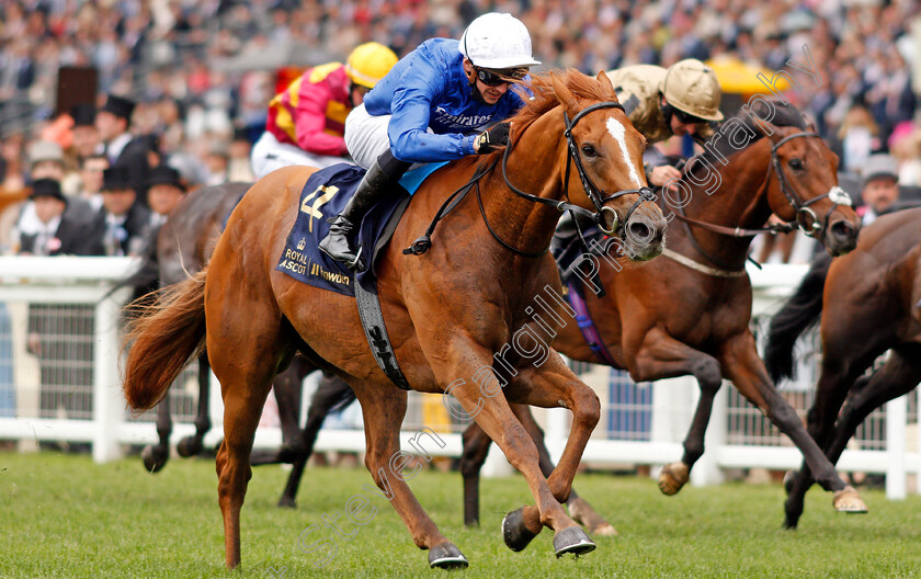 Creative-Force-0003 
 CREATIVE FORCE (James Doyle) wins The Jersey Stakes
Royal Ascot 19 Jun 2021 - Pic Steven Cargill / Racingfotos.com