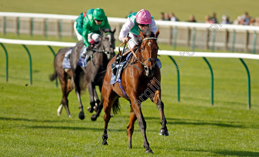 Time-Lock-0004 
 TIME LOCK (Ryan Moore) wins The Princess Royal Al Basti Equiworld Dubai Stakes
Newmarket 29 Sep 2023 - Pic Steven Cargill / Racingfotos.com