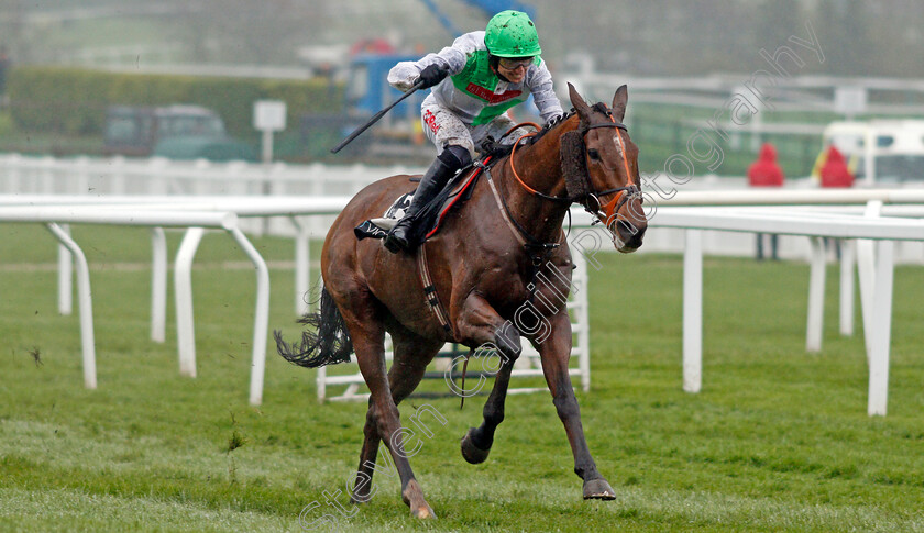 Perfect-Candidate-0004 
 PERFECT CANDIDATE (Paddy Brennan) wins The BetVictor.com Handicap Chase Cheltenham 18 Nov 2017 - Pic Steven Cargill / Racingfotos.com