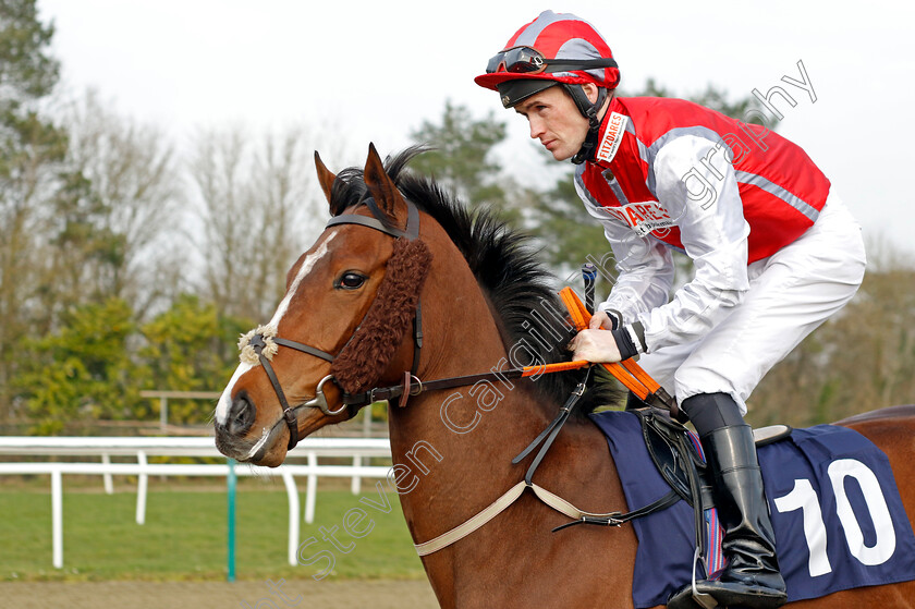 Star-Mind-0002 
 STAR MIND (Dylan Hogan)
Lingfield 7 Mar 2024 - Pic Steven Cargill / Racingfotos.com