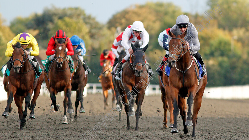 Higher-Kingdom-0004 
 HIGHER KINGDOM (Daniel Tudhope) wins The Close Brothers British Stallion Studs EBF Novice Stakes 
Kempton 9 Oct 2019 - Pic Steven Cargill / Racingfotos.com