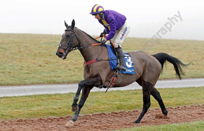 Kayf-Adventure-0001 
 KAYF ADVENTURE (Tom O'Brien)
Chepstow 27 Dec 2019 - Pic Steven Cargill / Racingfotos.com