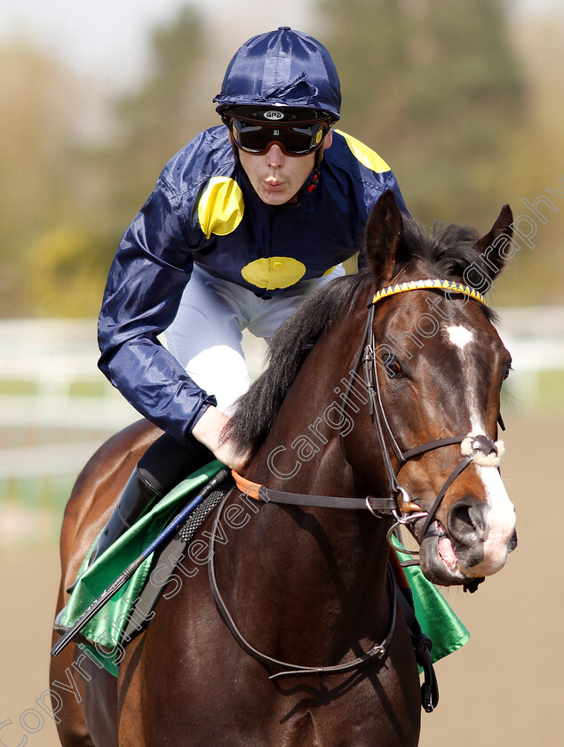 Breathless-Times-0001 
 BREATHLESS TIMES (Cameron Noble)
Lingfield 19 Apr 2019 - Pic Steven Cargill / Racingfotos.com