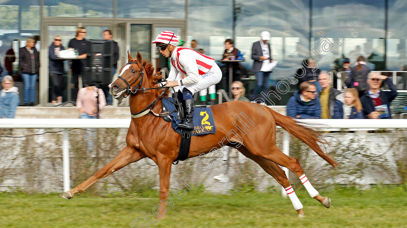 Approach-Glory-0001 
 APPROACH GLORY (Sandro de Paiva)
Bro Park 18 Sep 2022 - Pic Steven Cargill / Racingfotos.com