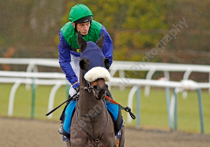 Kohinoor-Diamond-0001 
 KOHINOOR DIAMOND (Luke Morris) Lingfield 13 Dec 2017 - Pic Steven Cargill / Racingfotos.com