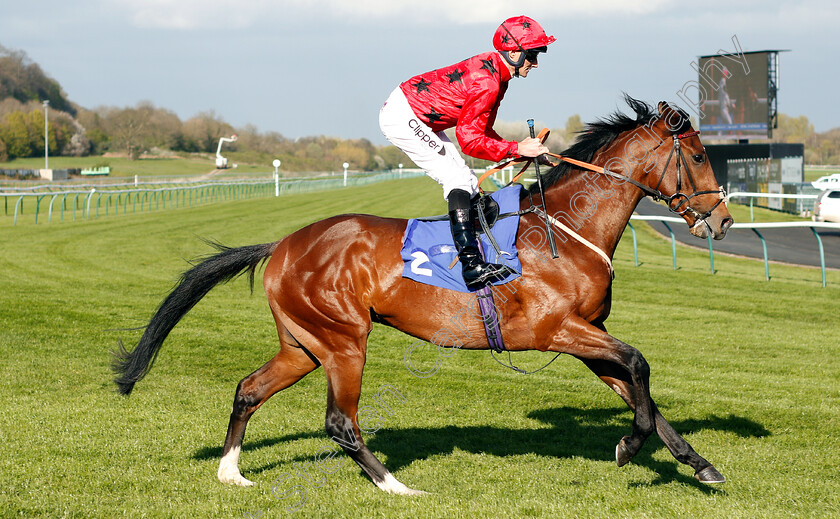 Startego-0001 
 STARTEGO (Daniel Tudhope)
Nottingham 10 Apr 2019 - Pic Steven Cargill / Racingfotos.com