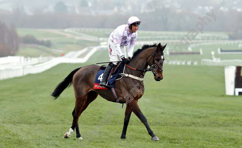 The-Russian-Doyen-0001 
 THE RUSSIAN DOYEN (Robbie Power)
Cheltenham 15 Dec 2018 - Pic Steven Cargill / Racingfotos.com