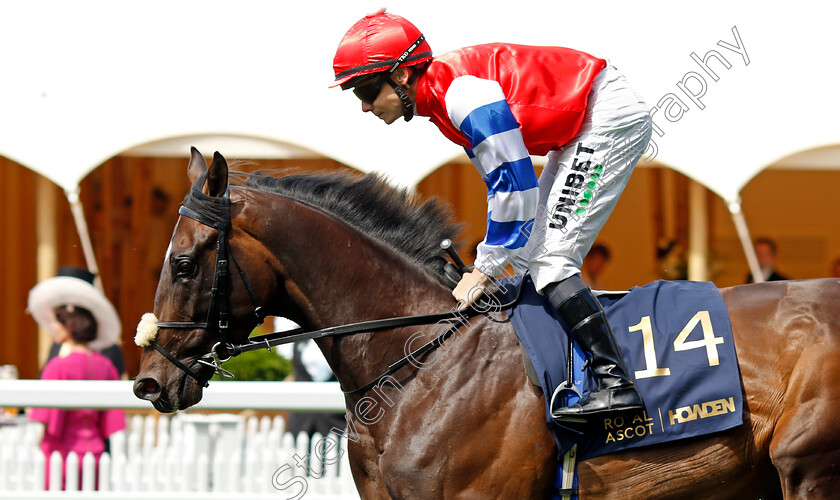 Neski-Sherelski-0001 
 NESKI SHERELSKI (Maxime Guyon)
Royal Ascot 20 Jun 2024 - Pic Steven Cargill / Racingfotos.com