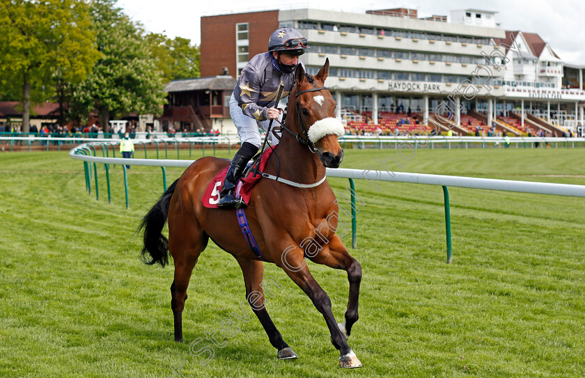 Gabrial-The-Devil-0001 
 GABRIAL THE DEVIL (Paul Hanagan)
Haydock 22 May 2021 - Pic Steven Cargill / Racingfotos.com