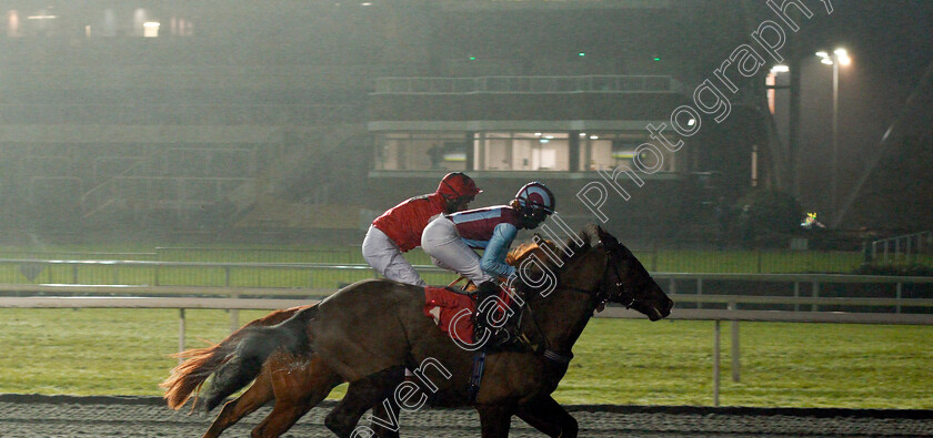 Nortonthorpe-Boy-0005 
 NORTONTHORPE BOY (Grace McEntee) wins The Unibet Extra Place Offers Every Day Handicap
Kempton 13 Jan 2021 - Pic Steven Cargill / Racingfotos.com