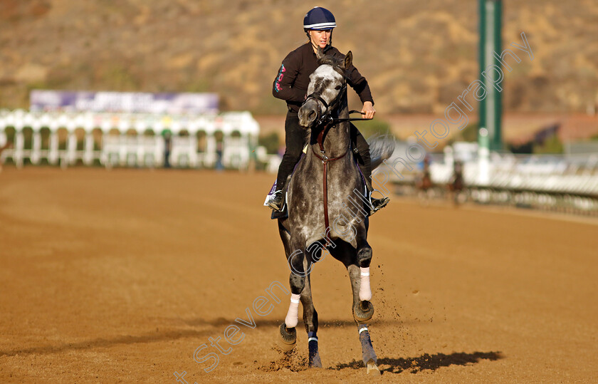 Post-Time-0004 
 POST TIME training for the Breeders' Cup Dirt Mile
Del Mar USA 31 Oct 2024 - Pic Steven Cargill / Racingfotos.com