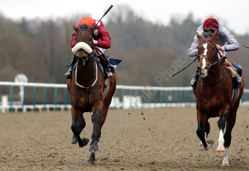 Mango-Tango-0007 
 MANGO TANGO (left, Edward Greatrex) beats TOAST OF NEW YORK (right) in The Betway Casino Stakes
Lingfield 5 Dec 2018 - Pic Steven Cargill / Racingfotos.com