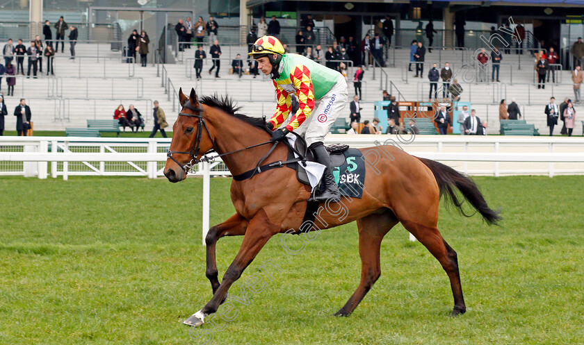 Doctor-Parnassus-0003 
 DOCTOR PARNASSUS (Harry Skelton) winner of The SBK Betting Podcast Juvenile Hurdle
Ascot 22 Jan 2022 - Pic Steven Cargill / Racingfotos.com