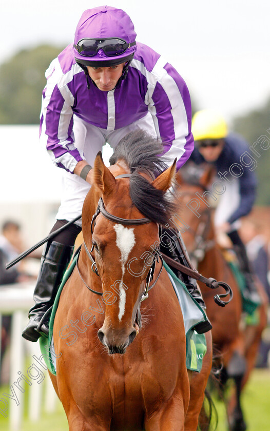 Japan-0001 
 JAPAN (Ryan Moore) before The Juddmonte International Stakes
York 21 Aug 2019 - Pic Steven Cargill / Racingfotos.com