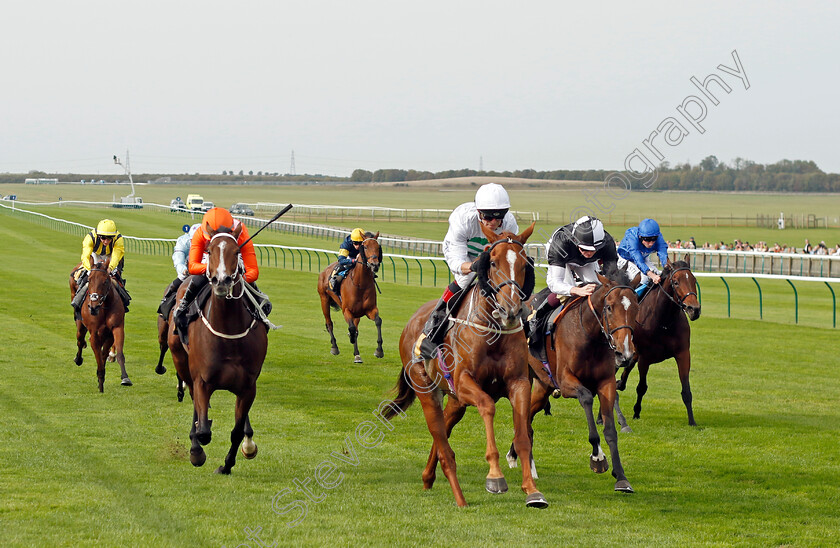 Madame-Ambassador-0003 
 MADAME AMBASSADOR (Franny Norton) wins The British EBF Premier Fillies Handicap
Newmarket 7 Oct 2023 - Pic Steven Cargill / Racingfotos.com