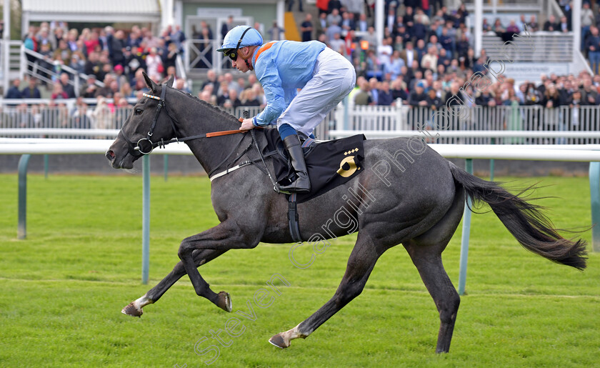 Got-To-Love-A-Grey-0003 
 GOT TO LOVE A GREY (Sam James) wins The British Racing Supports Stephen Lawrence Day Restricted Novice Stakes
Nottingham 22 Apr 2023 - pic Steven Cargill / Becky Bailey / Racingfotos.com