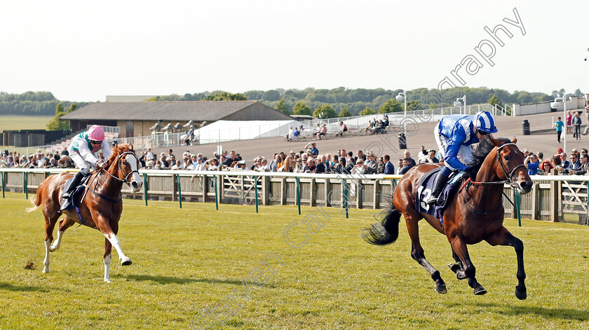 Wadilsafa-0004 
 WADILSAFA (Jim Crowley) beats HERCULEAN (left) in The Pegasus Profiles Flying Horse Novice Stakes Newmarket 18 May 2018 - Pic Steven Cargill / Racingfotos.com