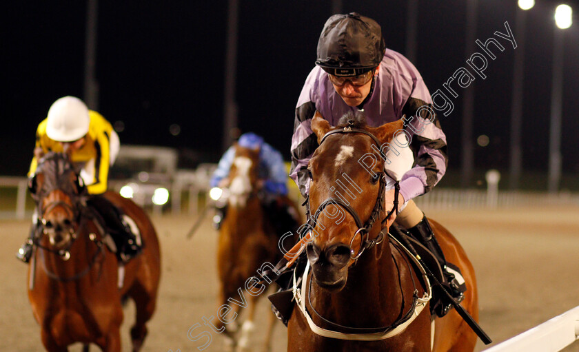 Asdaa-0008 
 ASDAA (Joe Fanning) wins The Bet toteexacta At totesport.com Handicap
Chelmsford 11 Jan 2020 - Pic Steven Cargill / Racingfotos.com