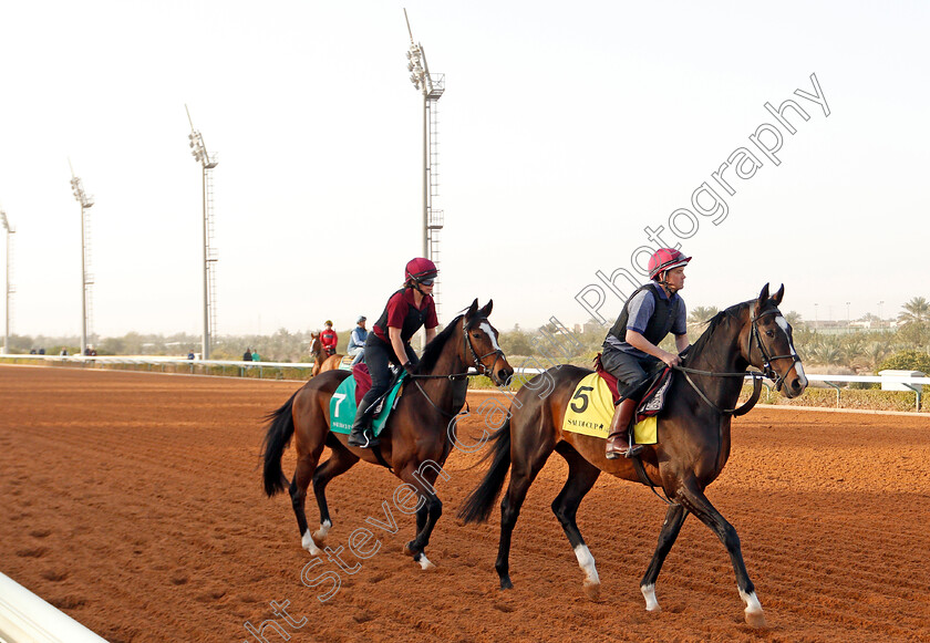 Mount-Everest-and-Magic-Wand-0001 
 MOUNT EVEREST (right) and MAGIC WAND (left) preparing for Saudi Cup day
Riyadh Racetrack, Kingdom Of Saudi Arabia, 27 Feb 2020 - Pic Steven Cargill / Racingfotos.com