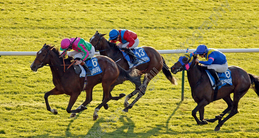 Lady-Boba-0003 
 LADY BOBA (Rossa Ryan) wins The Newmarket Pony Academy Pride Stakes 
Newmarket 11 Oct 2024 - pic Steven Cargill / Racingfotos.com