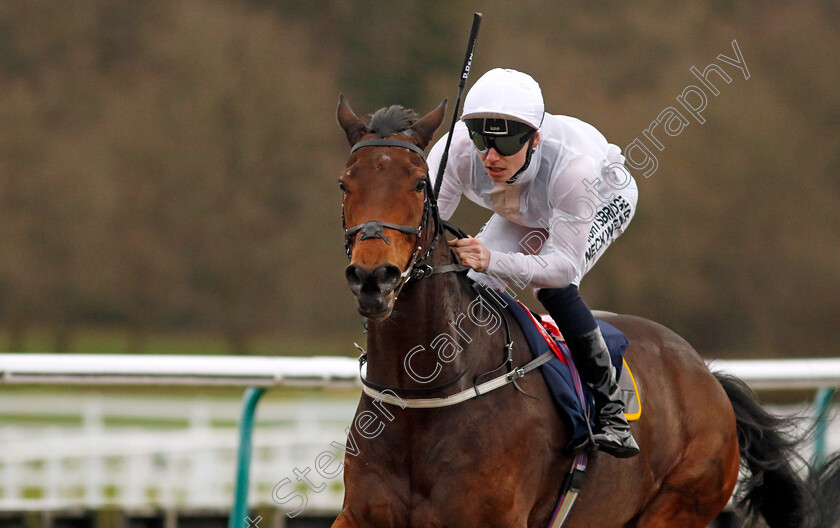 One-Night-Stand-0001 
 ONE NIGHT STAND (Phil Dennis) wins The BetUk It's Where The UK Bets Handicap
Lingfield 23 Dec 2023 - Pic Steven Cargill / Racingfotos.com