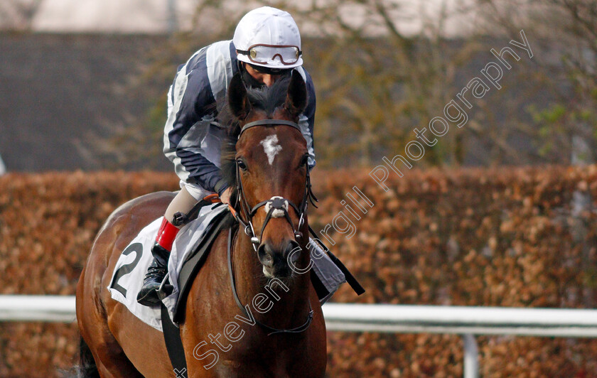 Troll-Peninsula-0001 
 TROLL PENINSULA (Andrea Atzeni) winner of The Unibet New Instant Roulette Novice Stakes
Kempton 31 Mar 2021 - Pic Steven Cargill / Racingfotos.com