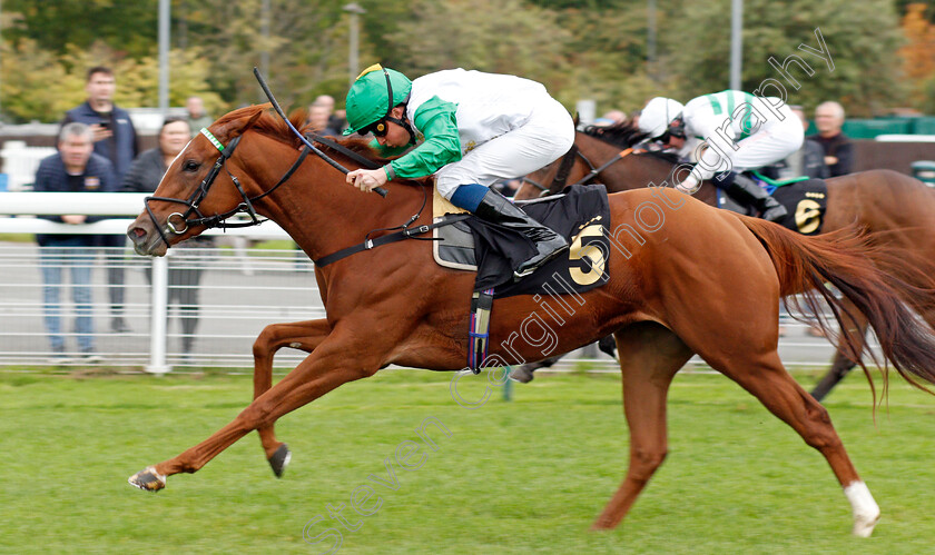 Zebelle-0005 
 ZEBELLE (William Buick) wins The Anderson Green Nursery
Nottingham 13 Oct 2021 - Pic Steven Cargill / Racingfotos.com