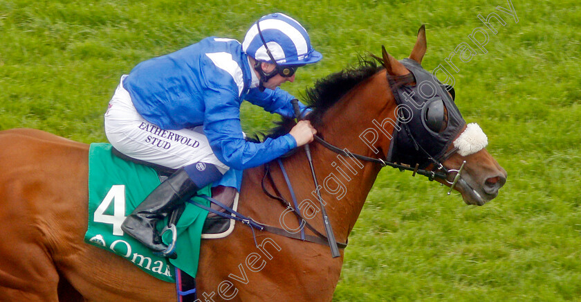 Awzaan-0004 
 AWZAAN (Martin Dwyer) wins The Royal Cavalry Of Oman Clarendon Stakes, Newbury 17 Aug 2019
Pic Steven Cargill / Racingfotos.com