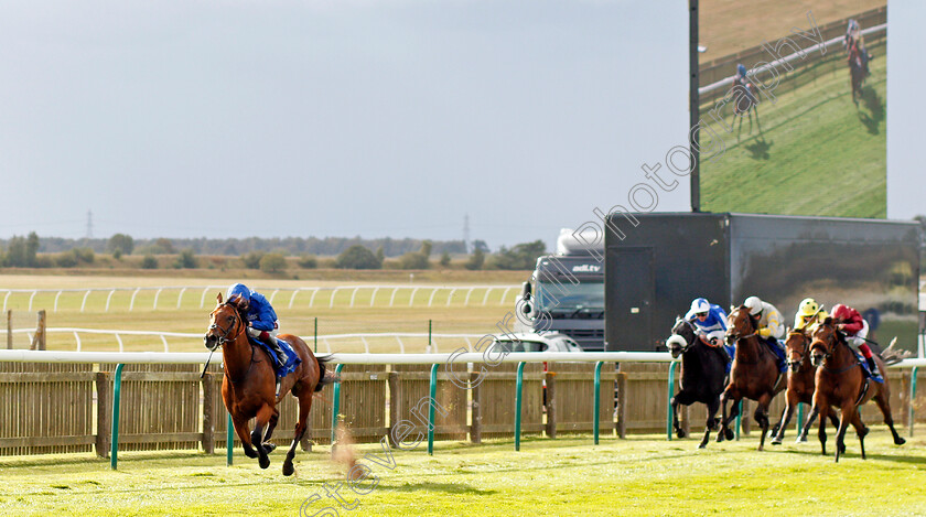 Benbatl-0004 
 BENBATL (Oisin Murphy) wins The Shadwell Joel Stakes
Newmarket 27 Sep 2019 - Pic Steven Cargill / Racingfotos.com