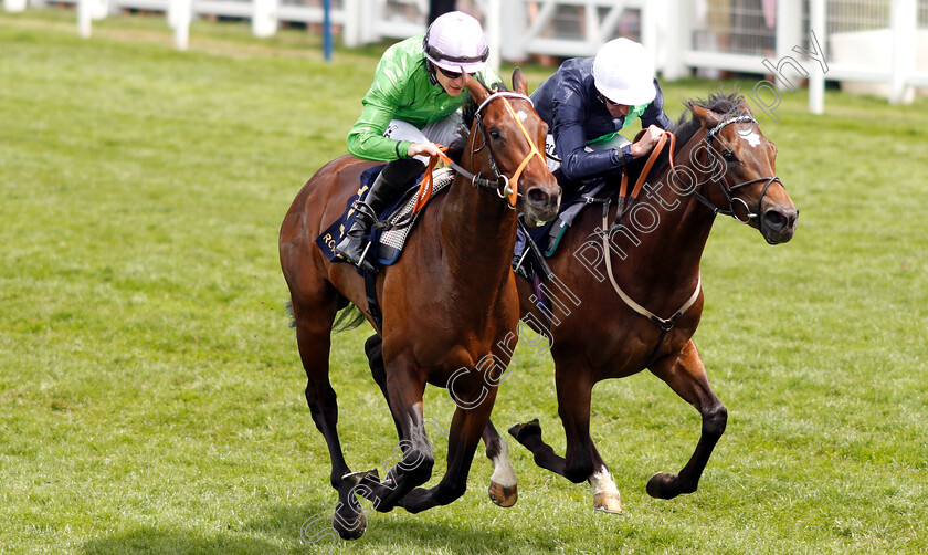 Arthur-Kitt-0006 
 ARTHUR KITT (left, Richard Kingscote) beats NATE THE GREAT (right) in The Chesham Stakes
Royal Ascot 23 Jun 2018 - Pic Steven Cargill / Racingfotos.com