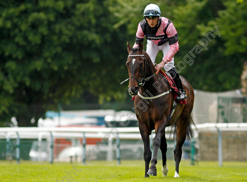 El-Caballo-0001 
 EL CABALLO (Clifford Lee) winner of The Cazoo Sandy Lane Stakes
Haydock 21 May 2022 - Pic Steven Cargill / Racingfotos.com